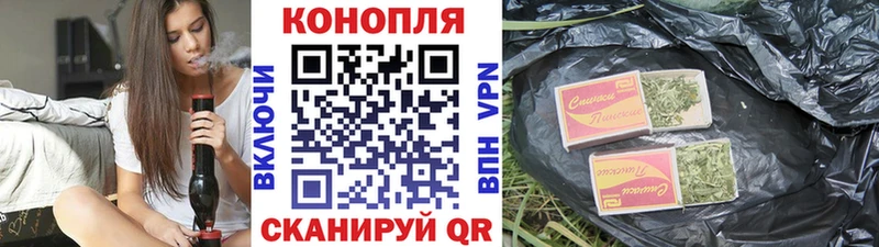 Бошки Шишки конопля закладка Монино